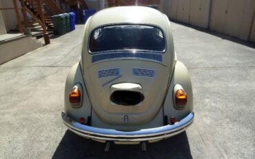 Unknown-Beetle-1970-YellowBlack-2