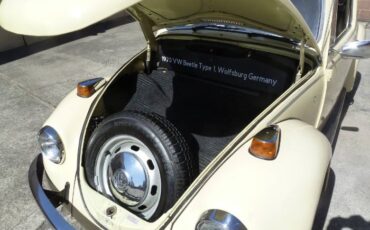 Unknown-Beetle-1970-YellowBlack-20