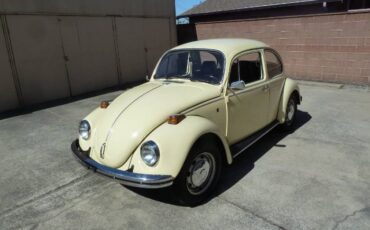 Unknown-Beetle-1970-YellowBlack-21