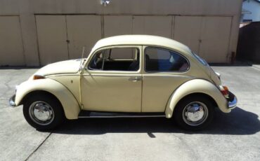 Unknown-Beetle-1970-YellowBlack-22