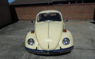 Unknown-Beetle-1970-YellowBlack-23