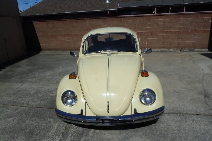 Unknown-Beetle-1970-YellowBlack-23