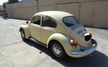 Unknown-Beetle-1970-YellowBlack-3