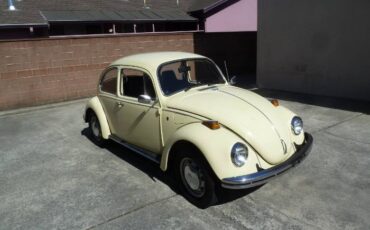 Unknown-Beetle-1970-YellowBlack