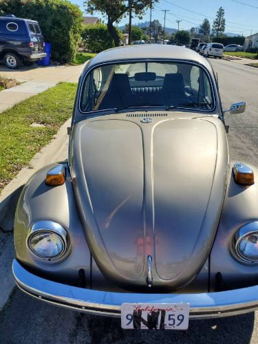 Unknown-Beetle-1970