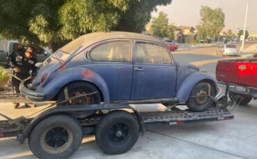 Unknown-Beetle-1971-1
