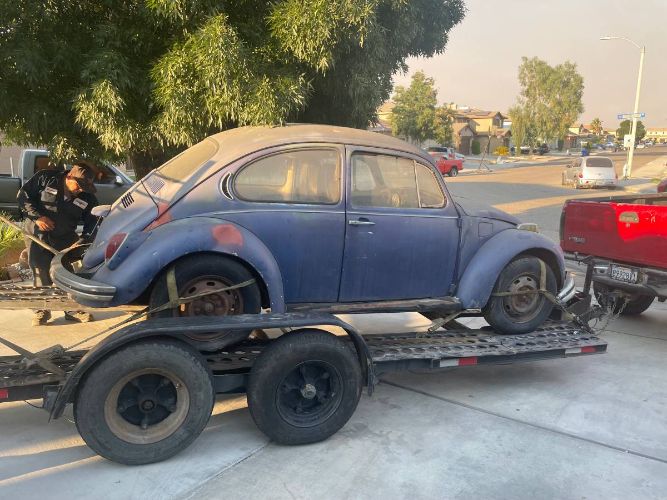 Unknown-Beetle-1971-1