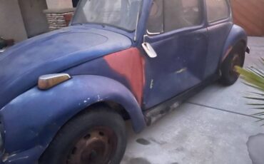 Unknown-Beetle-1971-3