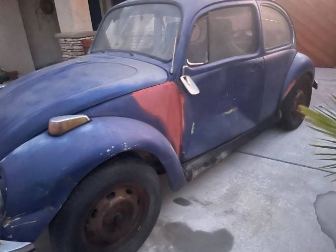 Unknown-Beetle-1971-3