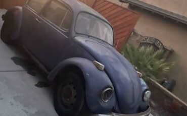 Unknown-Beetle-1971