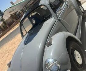 Unknown-Beetle-1971-Gray-10