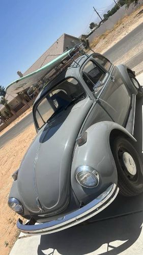 Unknown-Beetle-1971-Gray-10