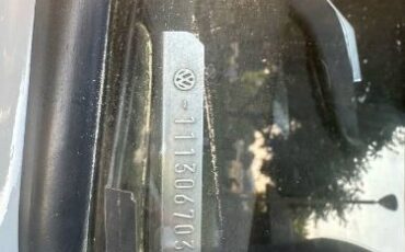 Unknown-Beetle-1971-Gray-8