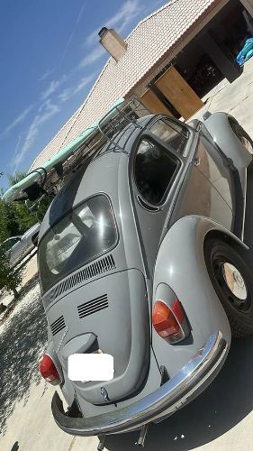 Unknown-Beetle-1971-Gray