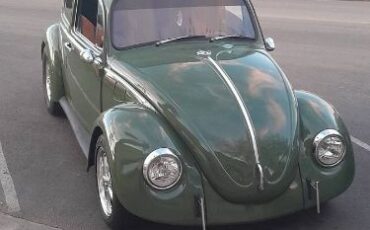 Unknown-Beetle-1971-Green-11