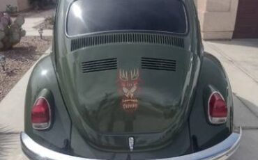 Unknown-Beetle-1971-Green-6