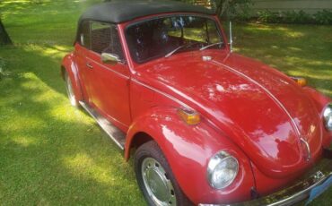 Unknown-Beetle-1971-Red