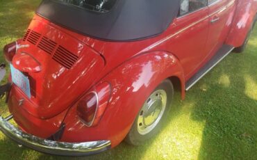 Unknown-Beetle-1971-Red-4