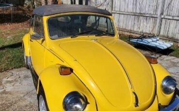 Unknown-Beetle-1971-Yellow-Black-14