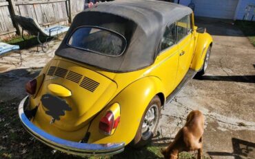 Unknown-Beetle-1971-Yellow-Black-2