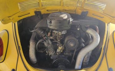 Unknown-Beetle-1971-Yellow-Black-3