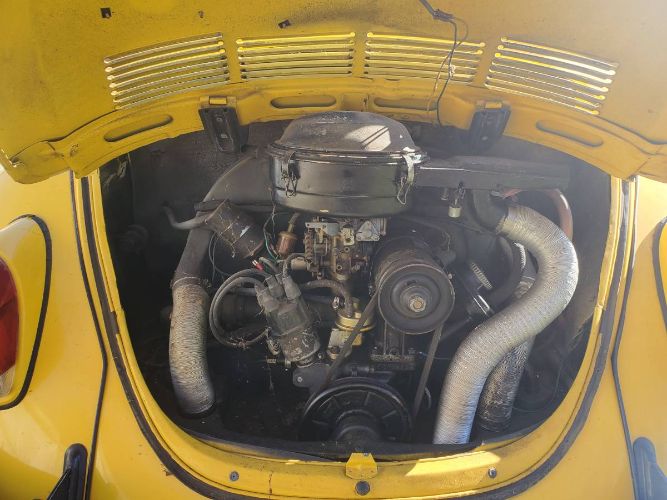 Unknown-Beetle-1971-Yellow-Black-3