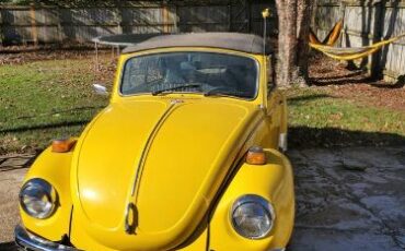 Unknown-Beetle-1971-Yellow-Black-4