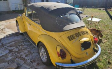 Unknown-Beetle-1971-Yellow-Black-5