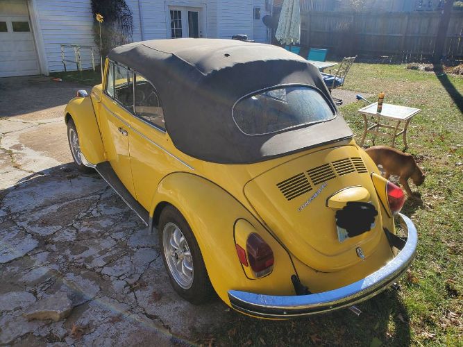 Unknown-Beetle-1971-Yellow-Black-5
