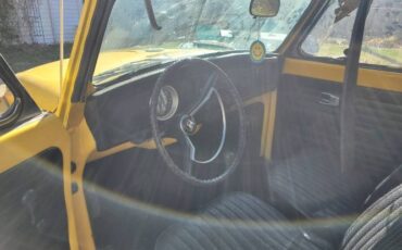 Unknown-Beetle-1971-Yellow-Black-7