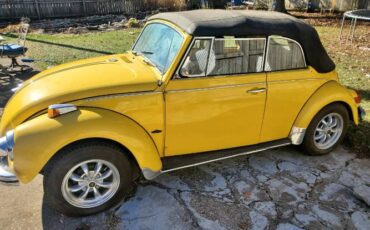 Unknown-Beetle-1971-Yellow-Black-8