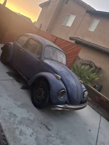 Unknown-Beetle-1971