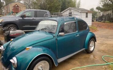 Unknown-Beetle-1972-Green-10
