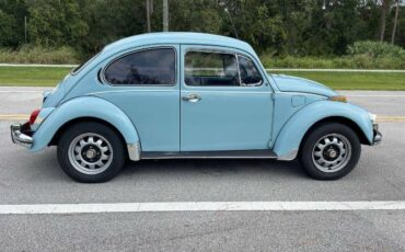 Unknown-Beetle-1972-Light-Blue-10