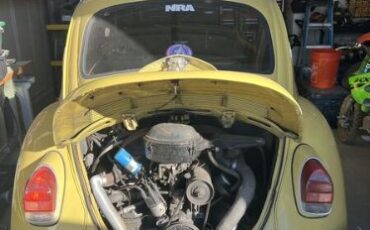 Unknown-Beetle-1972-Yellow-Black-1