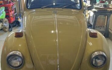 Unknown-Beetle-1972-Yellow-Black