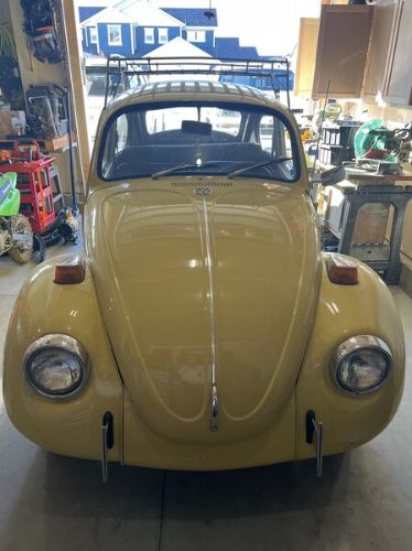 Unknown-Beetle-1972-Yellow-Black