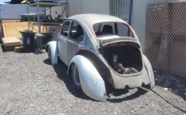 Unknown-Beetle-1973-Gray-4