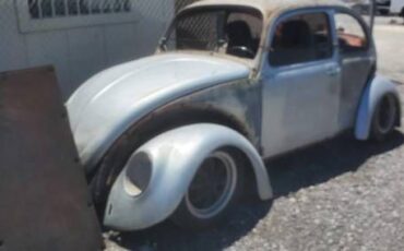 Unknown-Beetle-1973-Gray-5