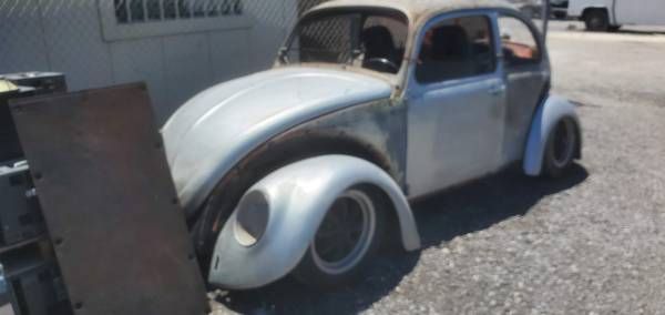 Unknown-Beetle-1973-Gray-5