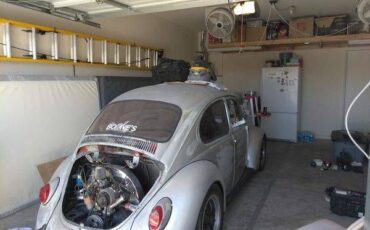 Unknown-Beetle-1973-Gray-7