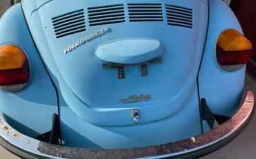 Unknown-Beetle-1973-Light-Blue-13
