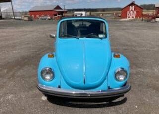 Unknown-Beetle-1973-Light-Blue-15