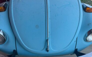 Unknown-Beetle-1973-Light-Blue-19