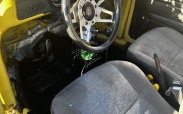 Unknown-Beetle-1973-Yellow-Gray-1