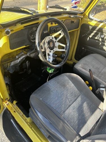 Unknown-Beetle-1973-Yellow-Gray-1