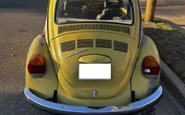 Unknown-Beetle-1973-Yellow-Gray-3