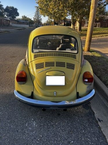 Unknown-Beetle-1973-Yellow-Gray-3