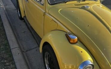 Unknown-Beetle-1973-Yellow-Gray