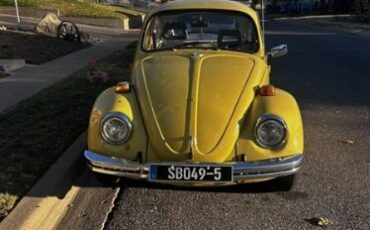 Unknown-Beetle-1973-Yellow-Gray-4